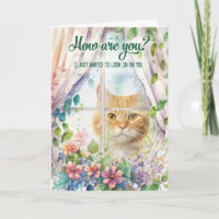 Cat Lover Garden Window Get Well
