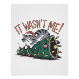 Cat Lover Gift It Was Not Me Poster