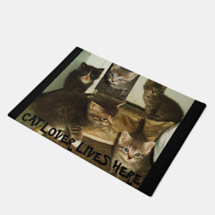 CAT LOVER LIVES HERE  DOORMAT