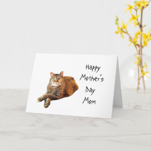 CAT LOVER MOTHER'S DAY CARD