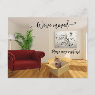 Cat Lover New Home Moving Postcard