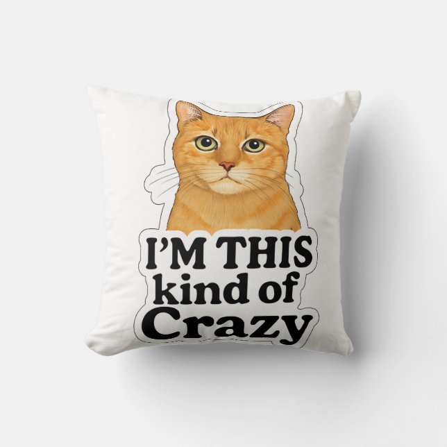 - “Cat Lover’s Humour Pillow – Orange Cat Design” (Front)
