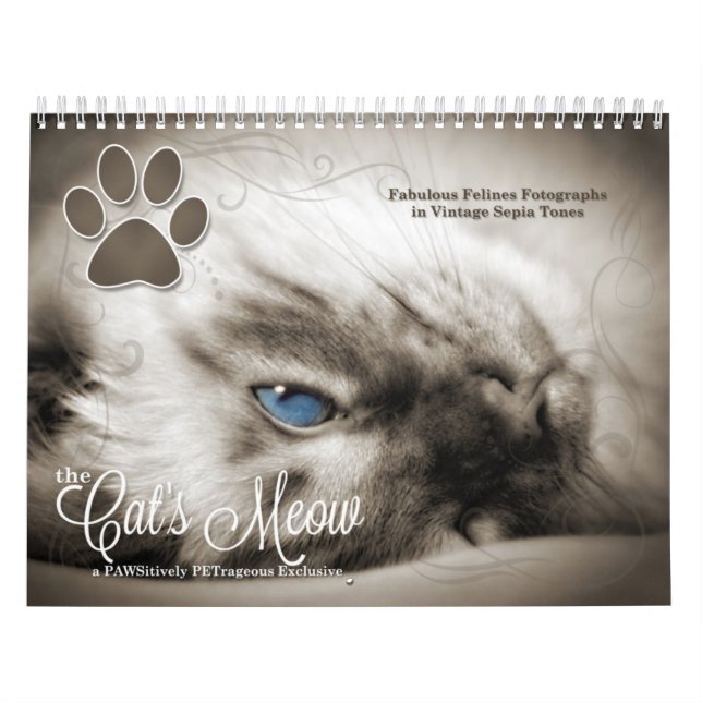 Cat Lover the Cat's Meow 12 Month Calendar (Cover)