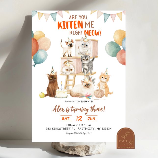 Cat Lover You Kitten Right Meow? Any Age Birthday Invitation (Creator Uploaded)