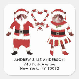 Cat Lovers Christmas Holiday Labels