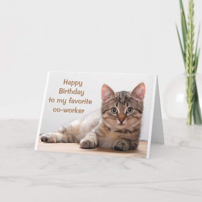 **CAT LOVER'S CO-WORKER'S BIRTHDAY** CARD (Front)
