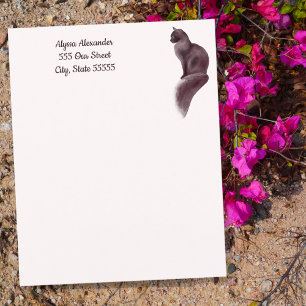 Cat Lovers Cute Blush Pink Girly Script Personal 