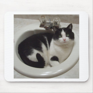 Cat lovers delight mouse pad