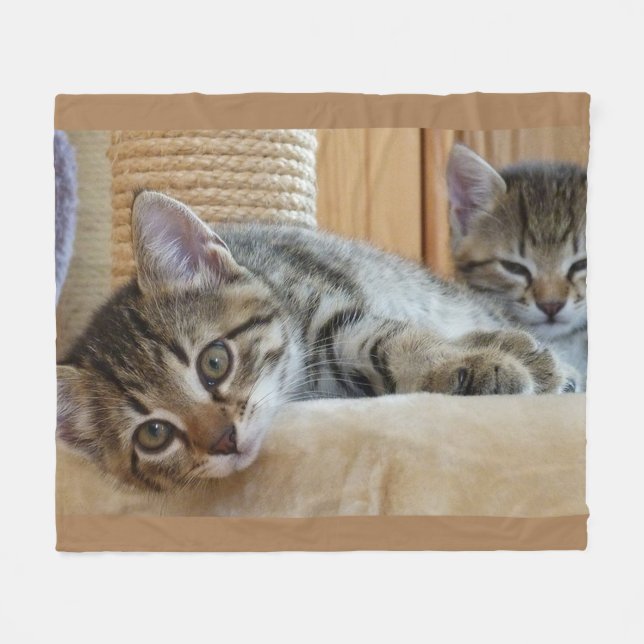 Cat Lovers Fleece Blanket (Front (Horizontal))