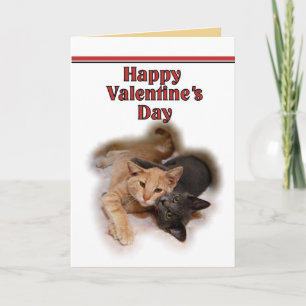 Cat Lovers Happy Valentine's Day  Card
