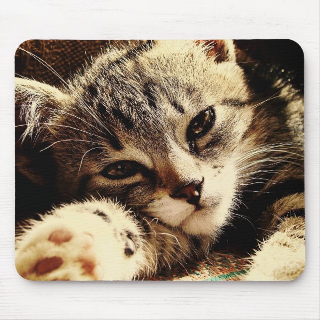 Cat Lovers Mouse Pad (Front)