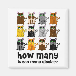 Cat Lover's Never Have Enough Magnet