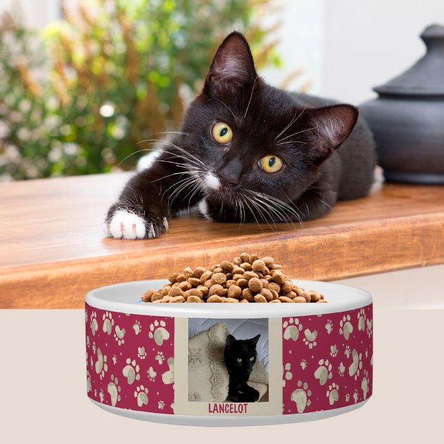 Cat Lovers Paw Prints Photo Name    Bowl (Creator Uploaded)