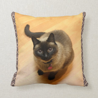 Cat Lovers Pillow