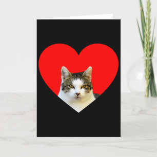Cat Lovers S Red Heart Valentine Gift Card