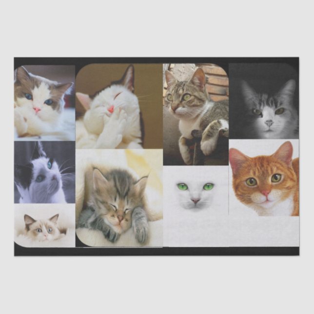 Cat Lovers Tissue Paper (Front)