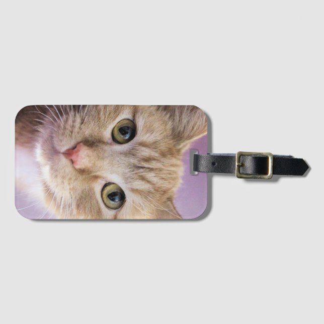 Cat Luggage Tag (Front Horizontal)