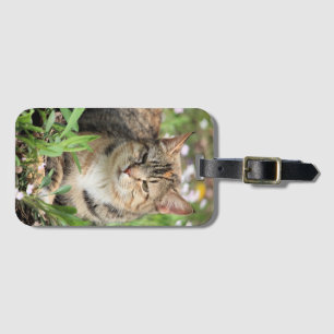 Cat Luggage Tag