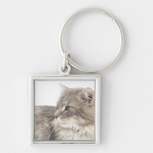 Cat lying down key ring