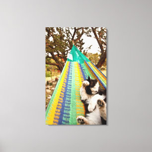 Cat lying in Mayan Mexican hammock Canvas Print