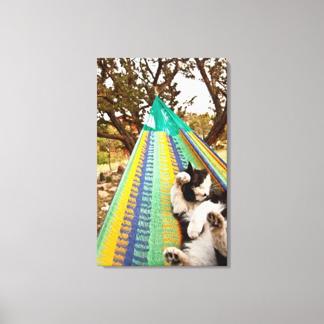 Cat lying in Mayan Mexican hammock Canvas Print (Front)