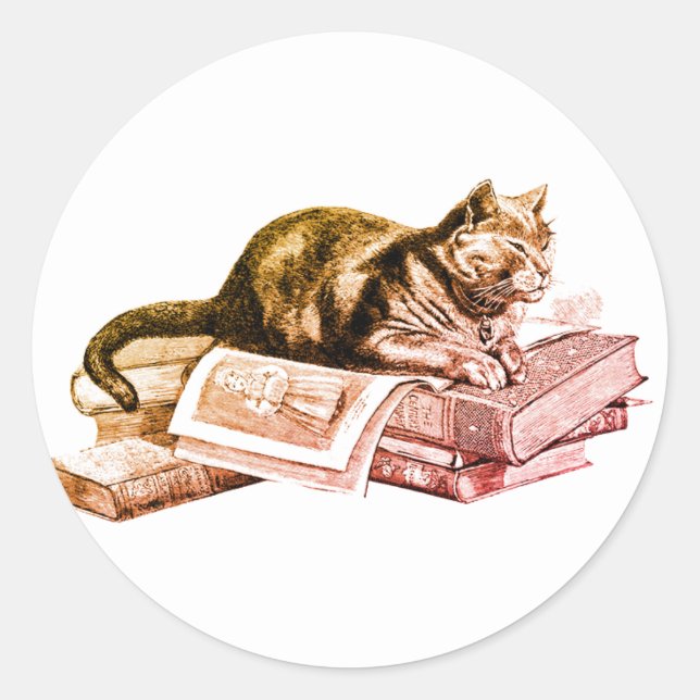 Cat Lying On A Stack Of Bookd Classic Round Sticker (Front)