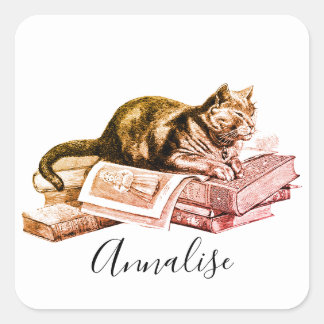 Cat Lying On A Stack Of Books Square Sticker