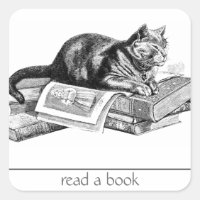 Cat Lying on Books