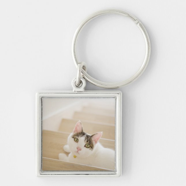 Cat lying on stairs key ring (Front)