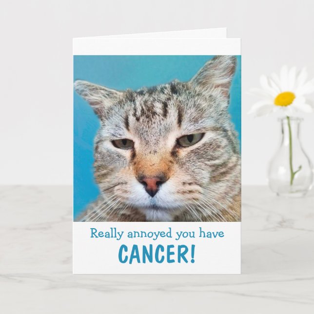 Cat Mad At Cancer Funny  Card (Small Plant)