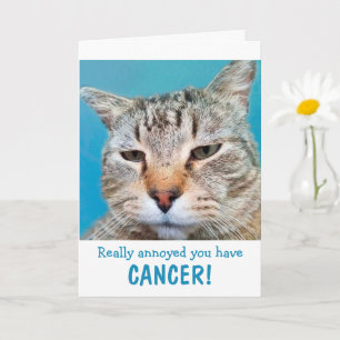 Cat Mad At Cancer Funny Card