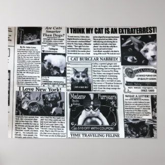 Cat Magazine Poster