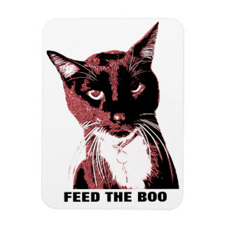 Cat magnet