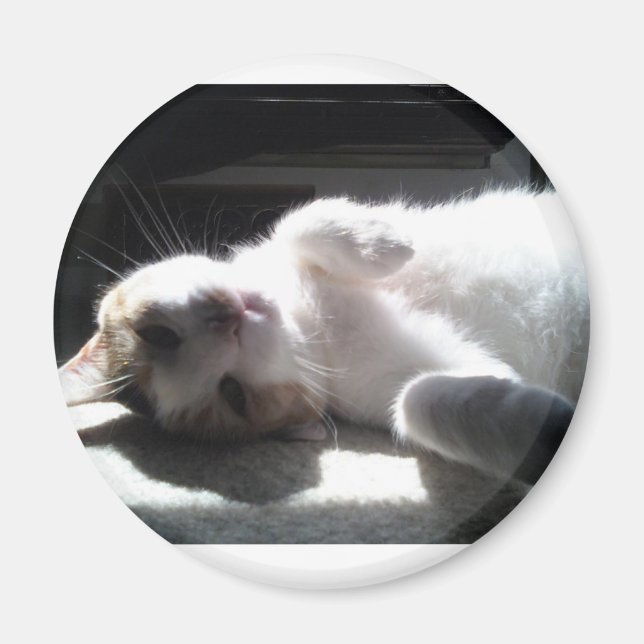 cat magnet (Front)