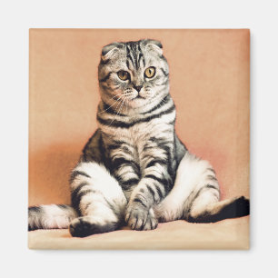 Cat Magnet