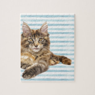 Cat, Maine Coon Jigsaw Puzzle