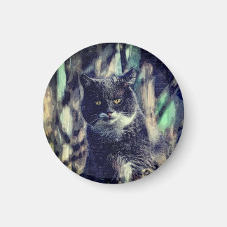 Cat, Mammal, Animal Magnet