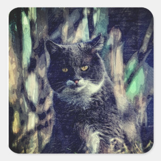 Cat, Mammal, Animal Square Sticker