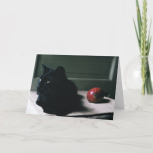 Cat & Mango card