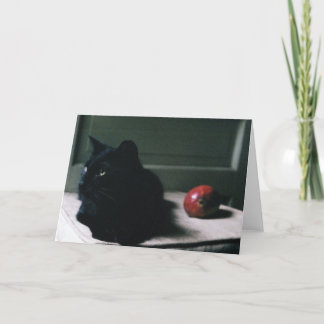 Cat & Mango card