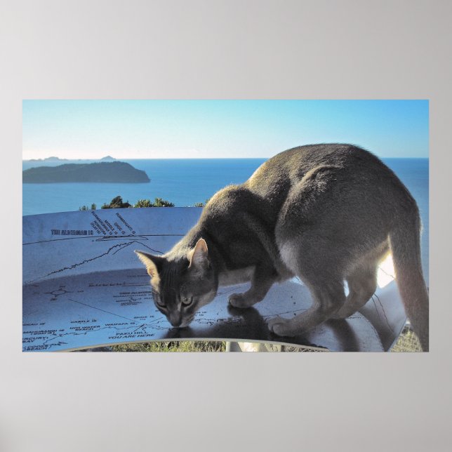 Cat marks the spot: Top of Mt. Paku New Zealand Poster (Front)