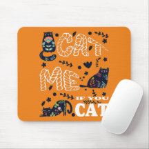 CAT ME IF YOU CAT FUNNY