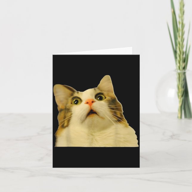 Cat Meme Shock Cat Face Funny Meme Cat Silly Gift  Card (Front)