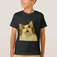 Cat Meme Shock Cat Face Funny Meme Cat Silly Gift