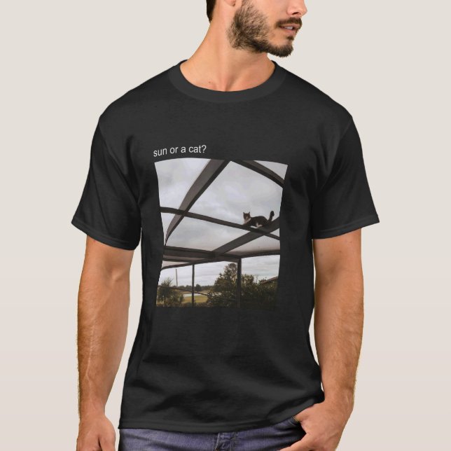 Cat Meme Tshirt Silly Cat Funny Kitty Meow Hiss Ki (Front)