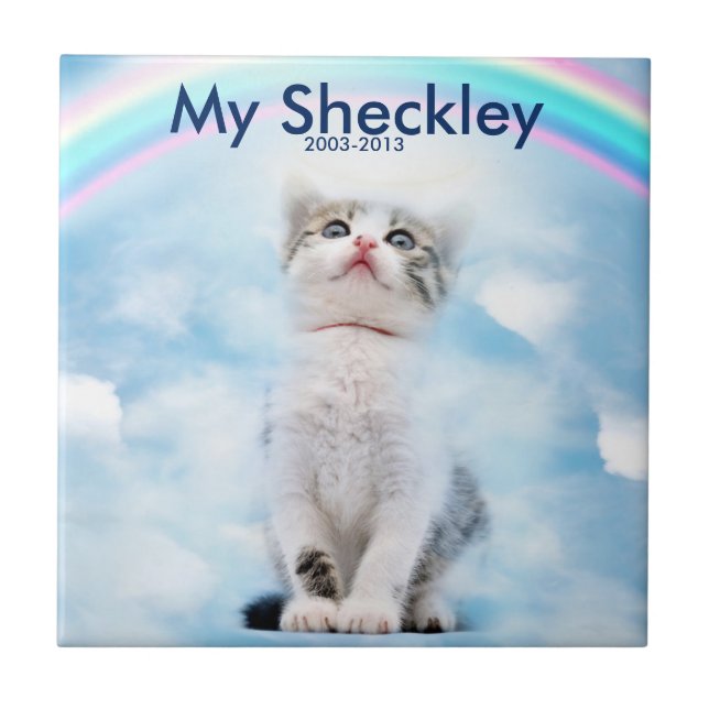 Cat Memorial Custom Small Ceramic Photo Tile (Front)
