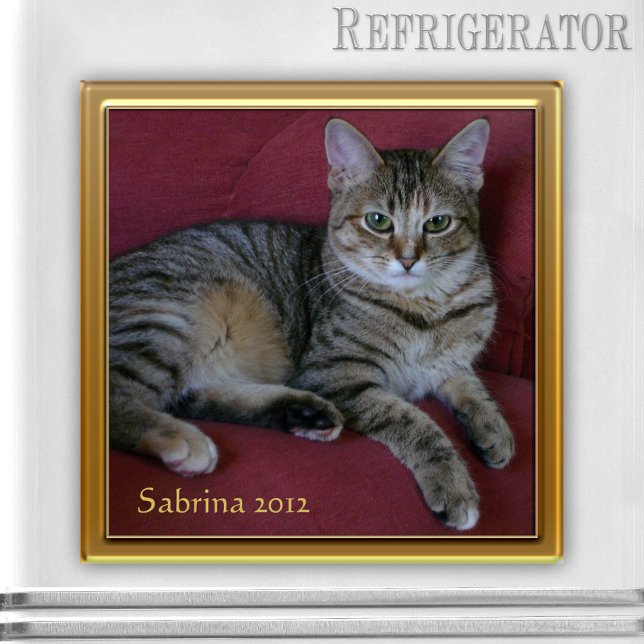 Cat Memorial Keepsake Photo Magnet (Keepsake photo frame magnet for a picture of your own choice - nice as cat memorial magnet)