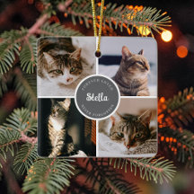 Cat Memorial Loss 4 Photo Collage Quote Keepsake