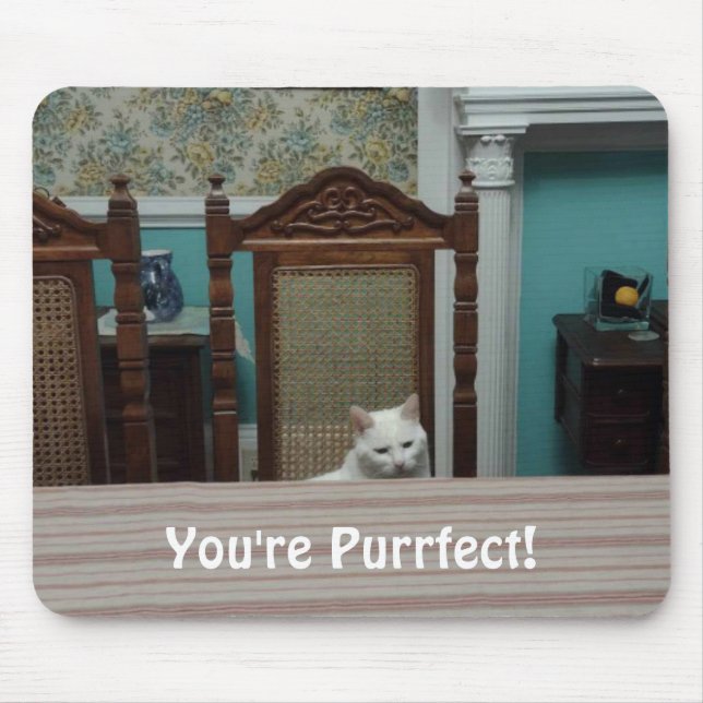Cat message: "You're Purrfect!" Mouse Pad (Front)