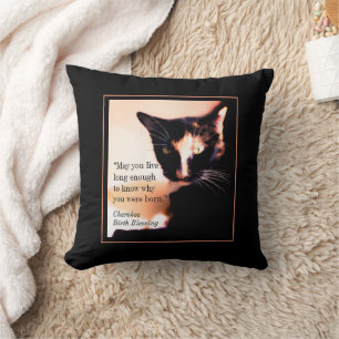 Cat Messenger Cushion